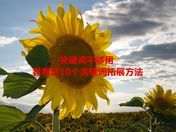 關(guān)鍵詞不夠用，看看這10個關(guān)鍵詞拓展方法！